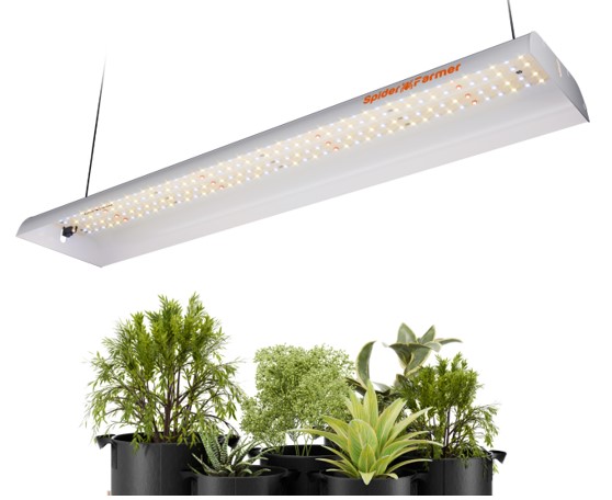 LED Grow Lights